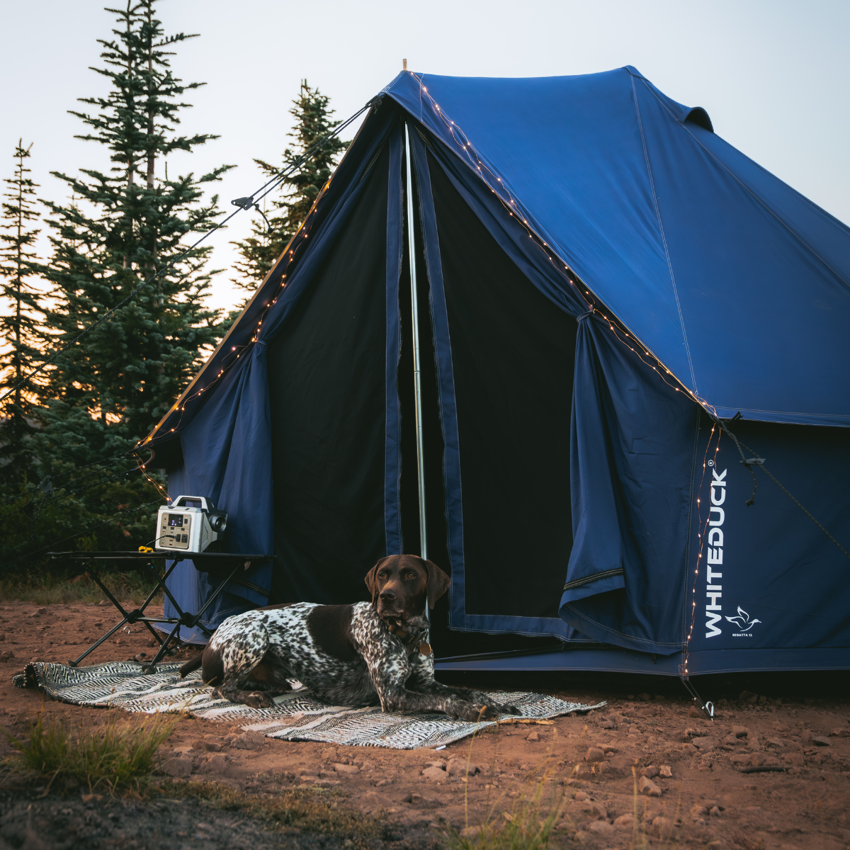 10' Regatta Bell Tent - Sapphire Blue